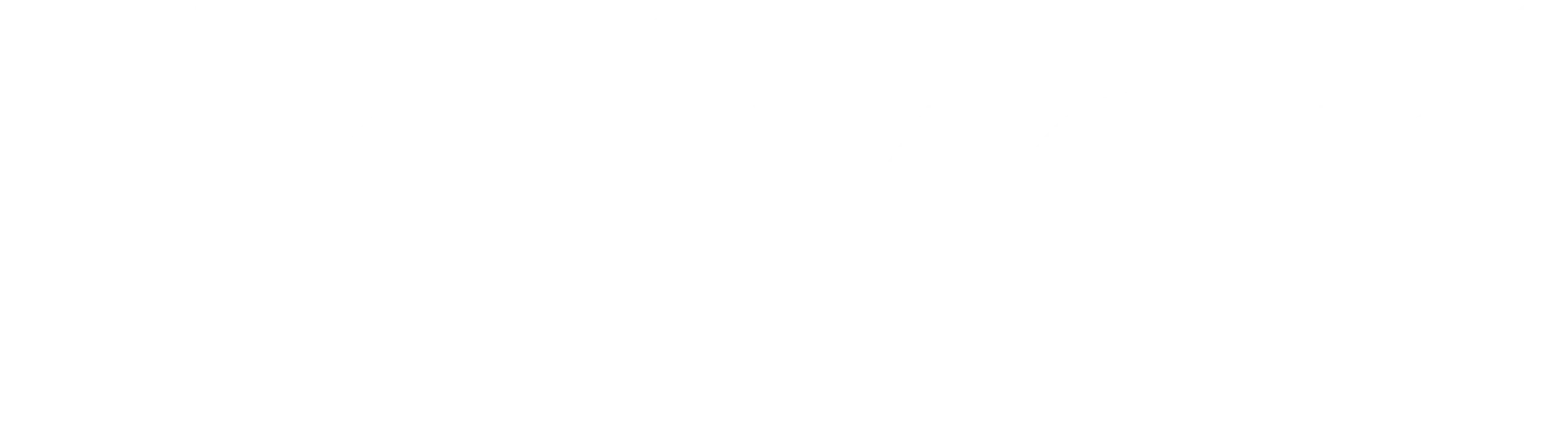 naixer logo