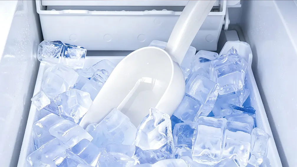 Choosing the Perfect Type of Ice for Your Restaurant, Bar, or Hotel