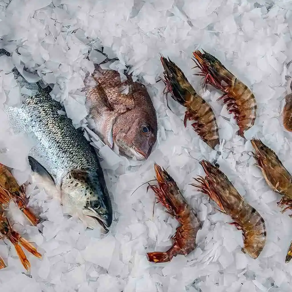 Naixer flake ice — dry loose flakes for rapid cooling and seafood displays
