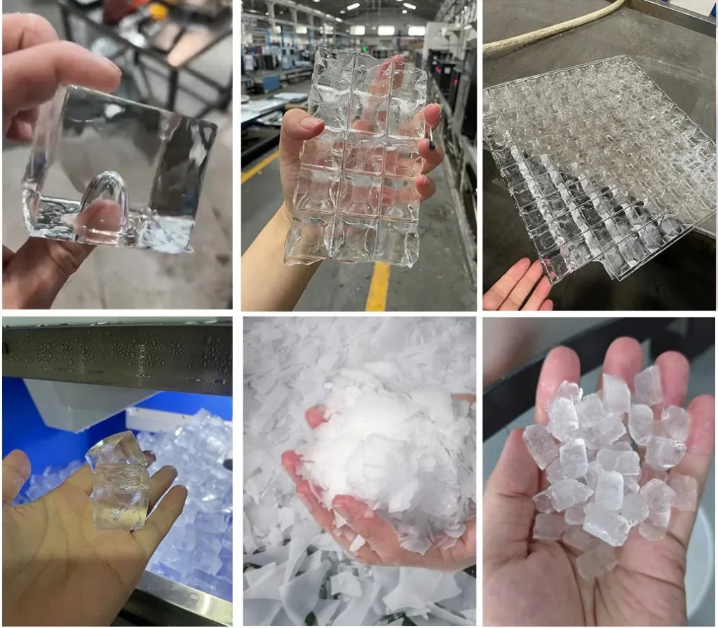 Naixer's six ice types