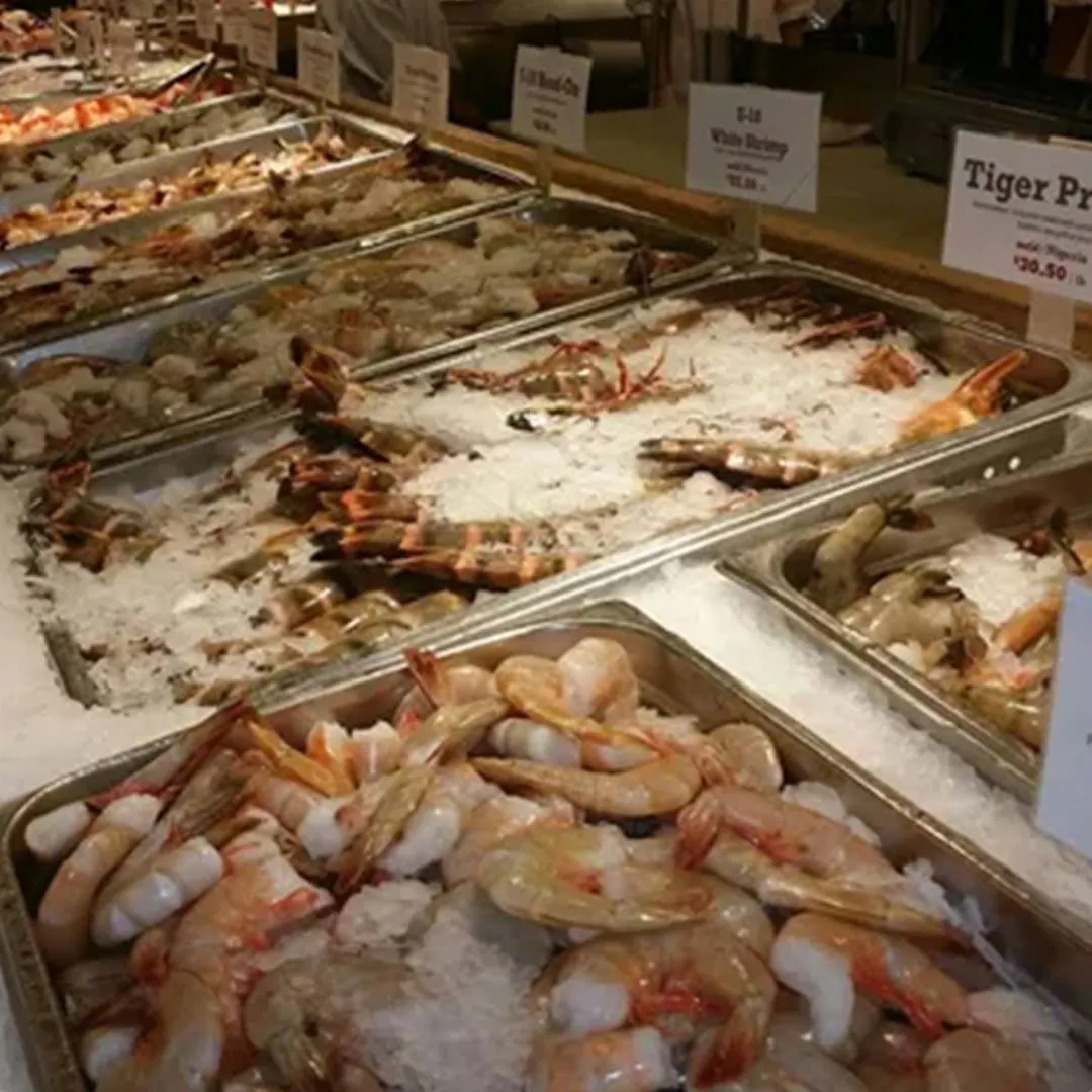 Commercial ice machines for fresh food markets and seafood displays